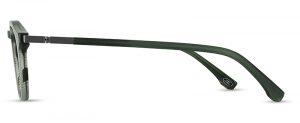 IVOR SGR Image 2