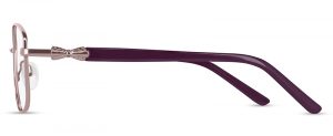 ZP4515 C2 Image 2
