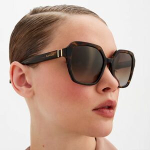 HUDSON COL.02 Image 4