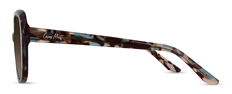 CMS2123 C1 Image 2