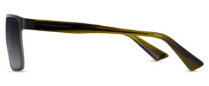 RRS112 GUN Image 2