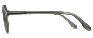 RRS306 CGR Image 2