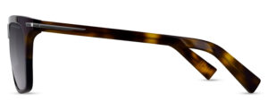 RRS309 SBR Image 2