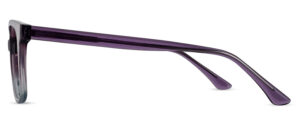 ZP4120 C1 Image 2
