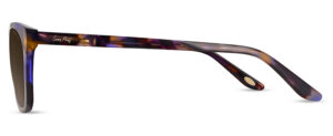 CMS2152 C1 Image 2