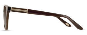 CMS2154 C1 Image 2