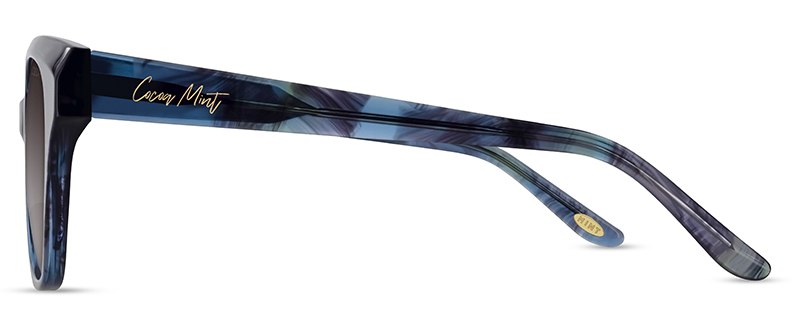 CMS2156 C1 Image 2
