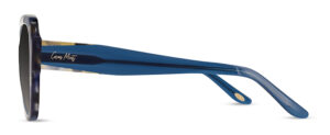 CMS2161 C1 Image 2