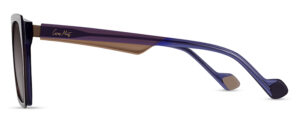 CMS2164 C1 Image 2
