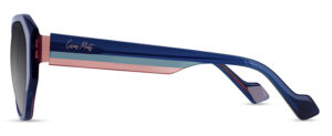 CMS2165 C1 Image 2