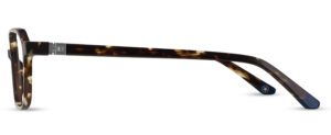ROBBIE C2 Image 2