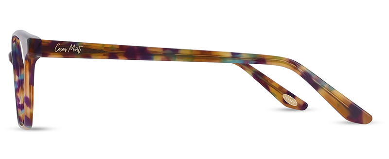 CM9206 C1 Image 2