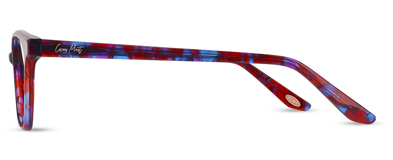 CM9206 C2 Image 2