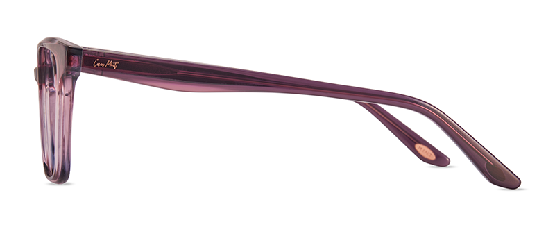 CM9229 C1 Image 2