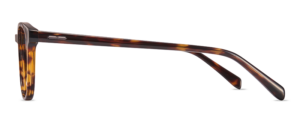 JN8081 C2 Image 2