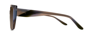 CMS2181 C1 Image 2