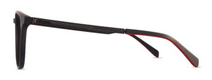 JN8086 C1 Image 2