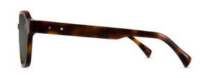 Replay C2 Image 2
