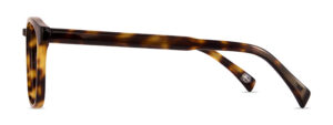 Score C1 Image 2